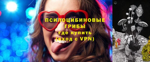 молекула духа Алзамай