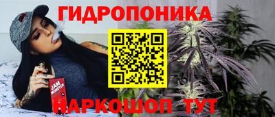 spice Канаш