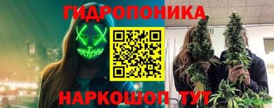 spice Канаш