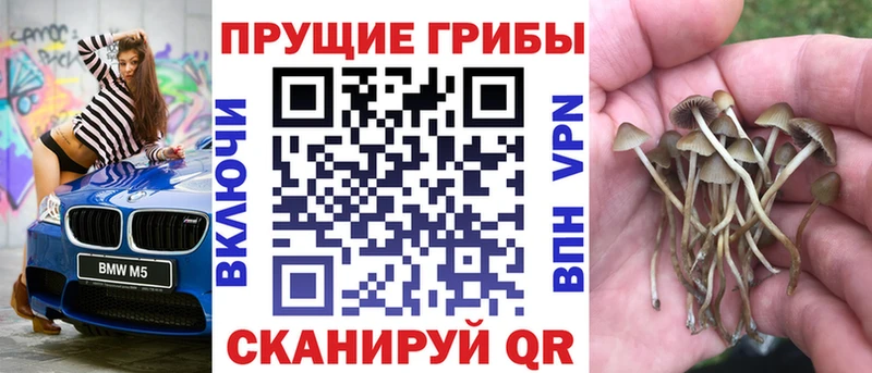 Псилоцибиновые грибы GOLDEN TEACHER  Краснознаменск 