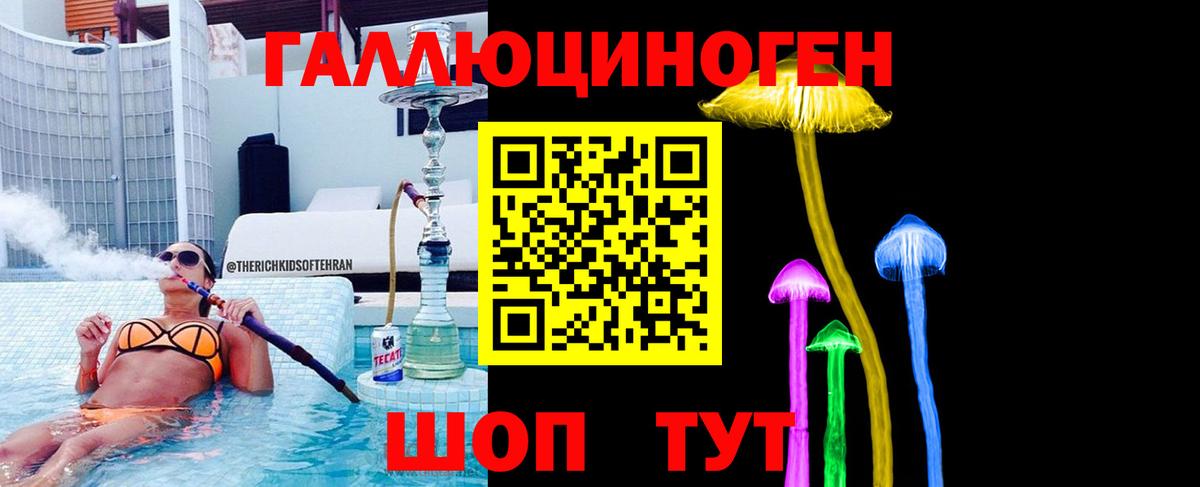 Галлюциногенные грибы Psilocybe  Псилоцибиновые грибы Cubensis  Краснознаменск  Вход с VPN 