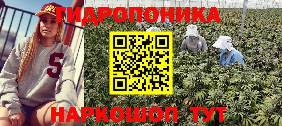 Бошки марихуана план  Бошки Шишки марихуана  Краснознаменск  Бошки Шишки ГИДРОПОН  Вход с VPN 